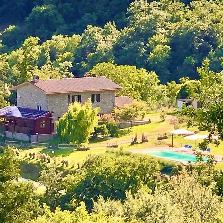 Agriturismo Vista Sole Villa Mercatale  Exterior foto